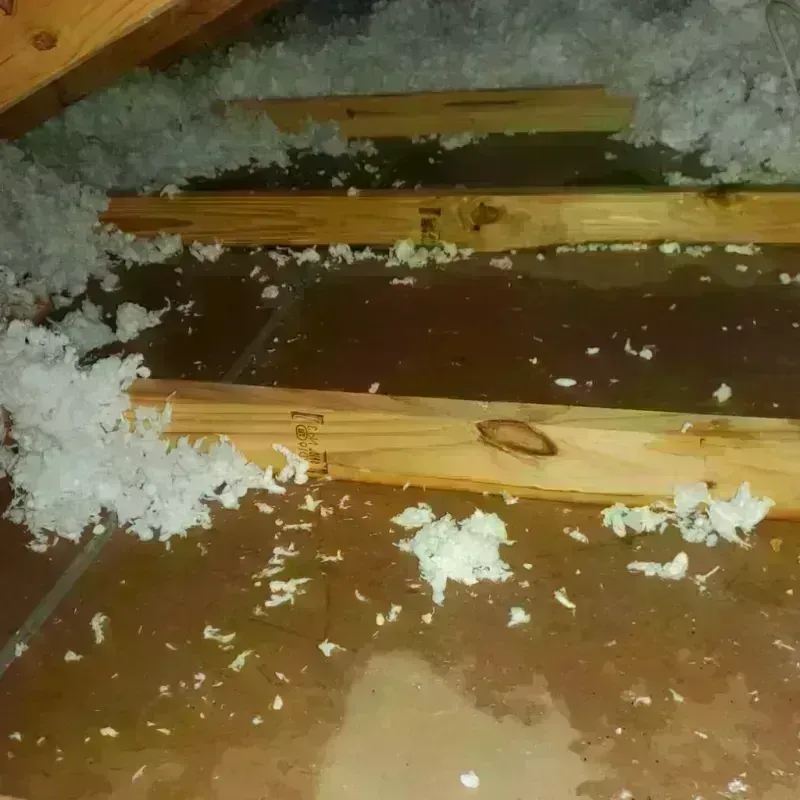 Attic Water Damage in Crook County, OR